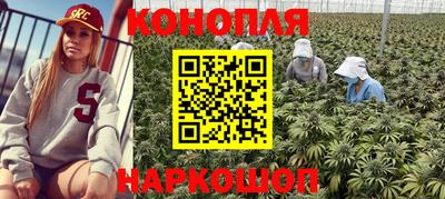 сатива Бугуруслан